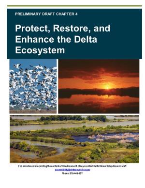 Chapter 4: Protect, Restore, and Enhance the Delta Ecosystem