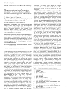 Morphometric Analysis of Vegetative Characters of Encephalartos Woodii