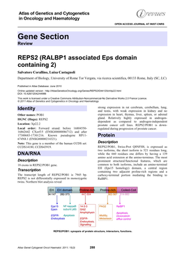 REPS2 (RALBP1 Associated Eps Domain Containing 2)