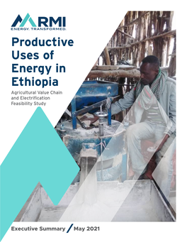 Productive Uses of Energy in Ethiopia: Agricultural Value Chain and Electrification Feasibility Study
