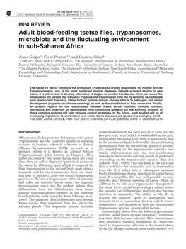 Adult Blood-Feeding Tsetse Flies, Trypanosomes, Microbiota and the Fluctuating Environment in Sub-Saharan Africa