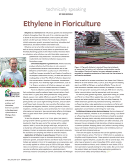 Ethylene in Floriculture