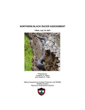 Northern Black Racer Species Assessment