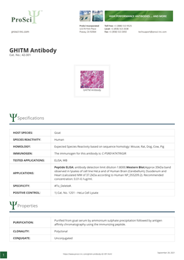 GHITM Antibody Cat