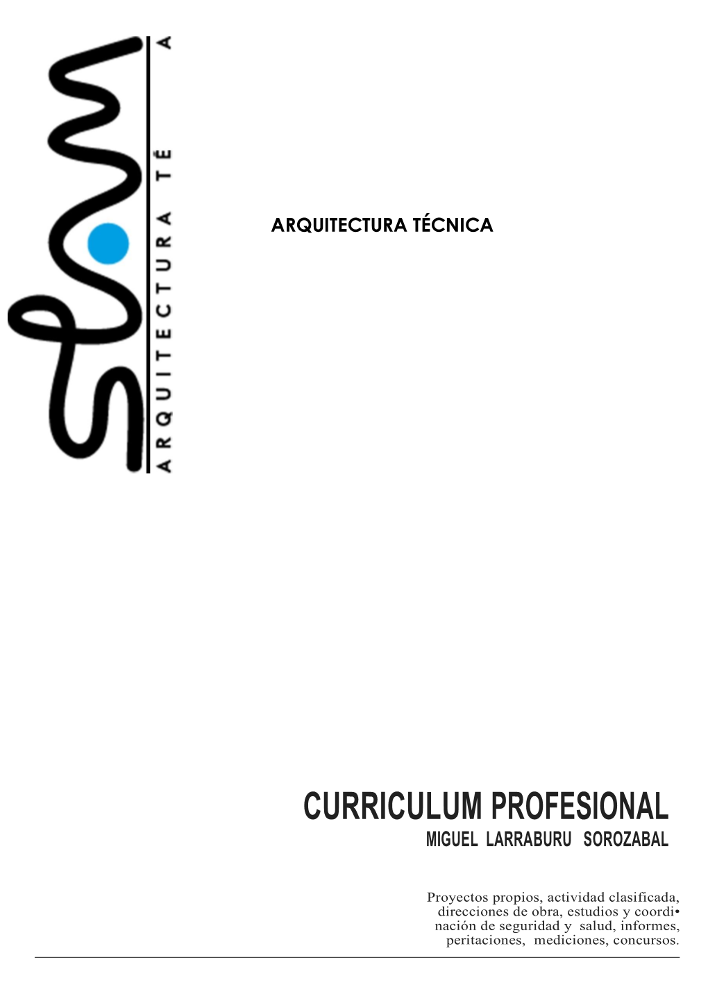 Curriculum Profesional Miguel Larraburu Sorozabal