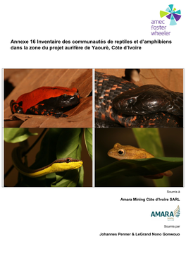 Annexe 16 Inventaire Des Communautés De Reptiles Et D'amphibiens Dans La Zone Du Projet Aurifère De Yaourè, Côte D'ivoir