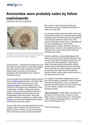 Ammonites Were Probably Eaten by Fellow Cephalopods 3 December 2010, by Lin Edwards