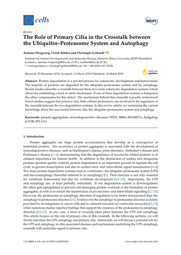The Role of Primary Cilia in the Crosstalk Between the Ubiquitin–Proteasome System and Autophagy