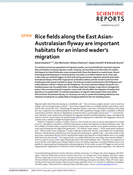 Rice Fields Along the East Asian-Australasian Flyway Are Important Habitats for an Inland Wader's Migration