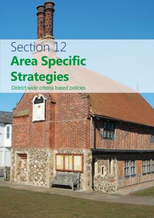 Section 12 Area Specific Strategies