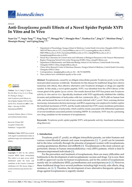 Anti-Toxoplasma Gondii Effects of a Novel Spider Peptide XYP1 in Vitro and in Vivo
