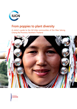 From Poppies to Plant Diversity a Visitor's Guide to the Hill Tribe Communities of Doi