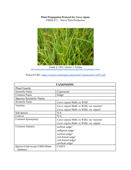 TAXONOMY Plant Family Species Scientific Name