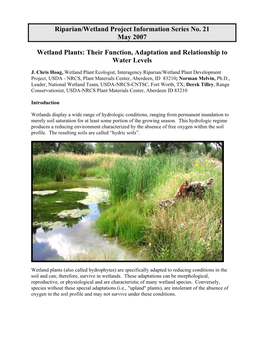 Wetland Plants: Their Function, Adaptation, and Relationship To