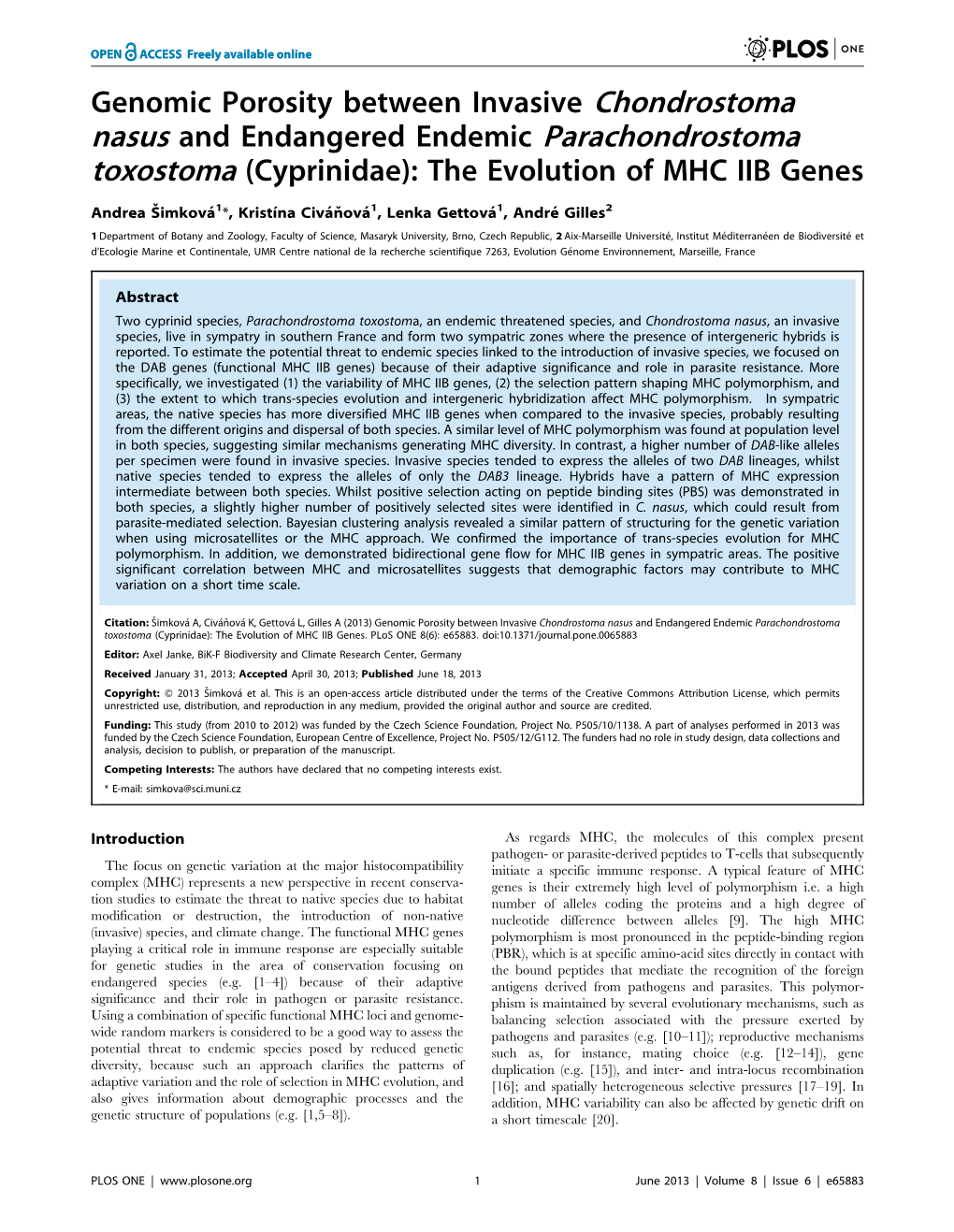Genomic Porosity Between Invasive Chondrostoma Nasus and Endangered Endemic Parachondrostoma Toxostoma (Cyprinidae): the Evolution of MHC IIB Genes