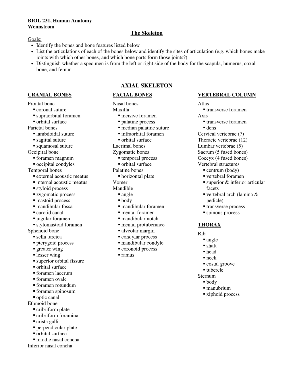 The Skeleton AXIAL SKELETON