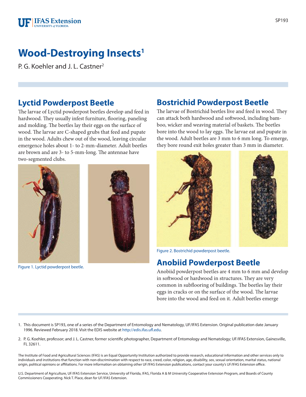 Wood-Destroying Insects1 P