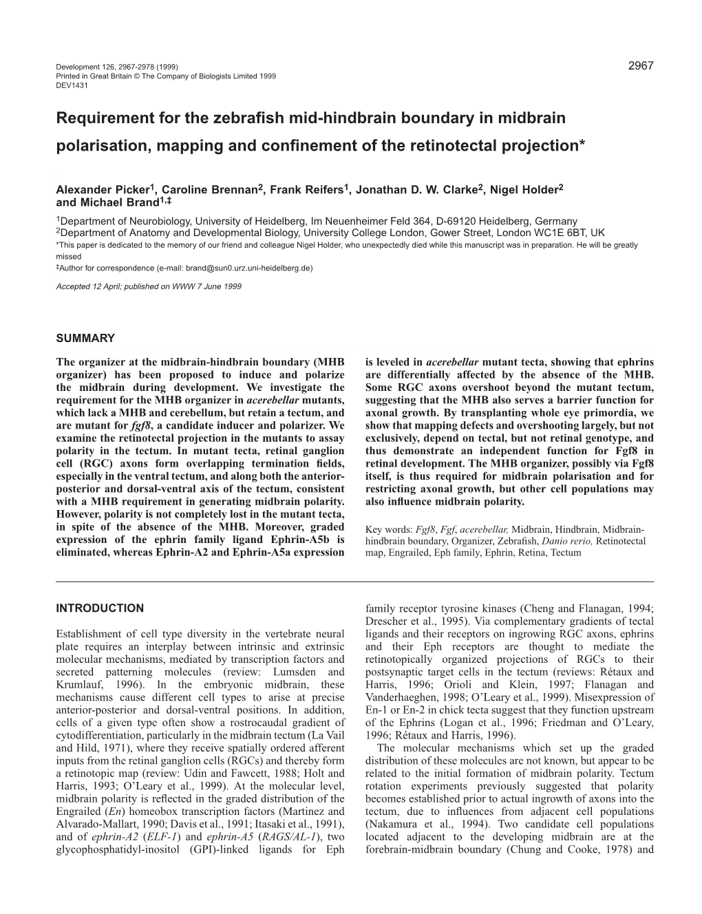 Fgf8 Requirement in Midbrain Polarisation 2969 at Approximately the Mid-Point of Each Tectum Was Determined (Mean Likely to Be Inﬂuenced by Secondary Effects