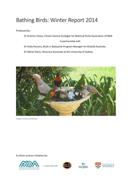 Bathing Birds: Winter Report 2014