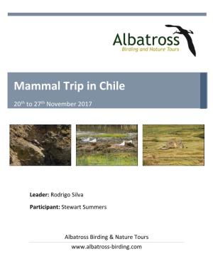 Mammal Trip in Chile