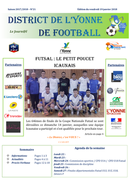 Futsal : Le Petit Poucet Partenaires Icaunais Partenaires