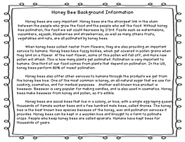 Honey Bee Background Information