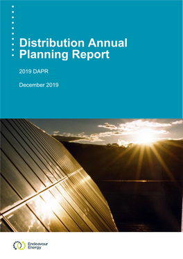 Distribution Annual Planning Report