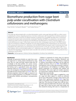 Biomethane Production from Sugar Beet Pulp Under Cocultivation With