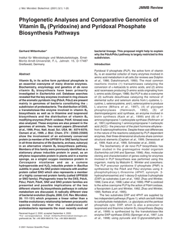 Phylogenetic Analyses and Comparative Genomics of Vitamin B6 (Pyridoxine) and Pyridoxal Phosphate Biosynthesis Pathways