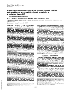 Giardiavirus Double-Stranded RNA Genome Encodes a Capsid