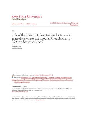 Role of the Dominant Phototrophic Bacterium in Anaerobic Swine Waste Lagoons, Rhodobacter Sp PS9, in Odor Remediation Young Sub Do Iowa State University