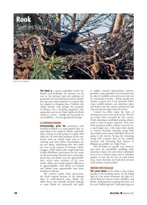 Bird-Table-75-Rook-Species-Focus.Pdf (Bto.Org)