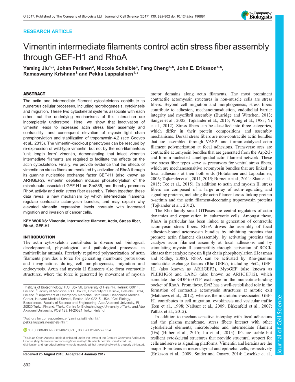 Vimentin Intermediate Filaments Control Actin Stress Fiber Assembly