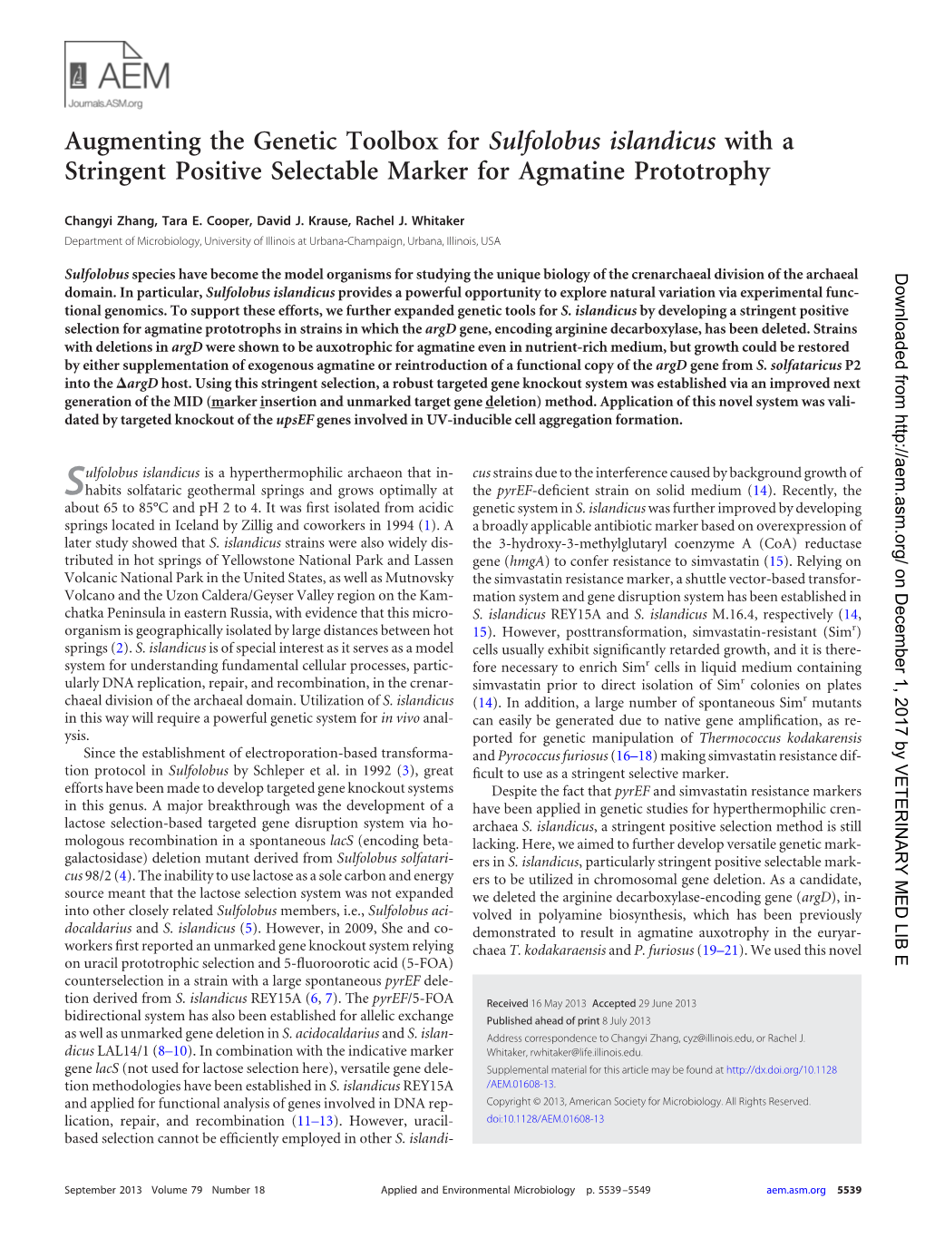 Augmenting the Genetic Toolbox for Sulfolobus Islandicus with a Stringent Positive Selectable Marker for Agmatine Prototrophy