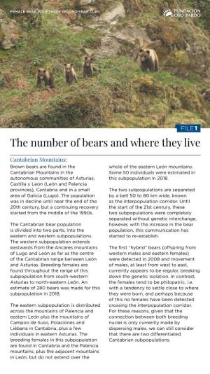 The Number of Bears and Where They Live
