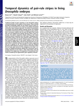 Temporal Dynamics of Pair-Rule Stripes in Living Drosophila Embryos