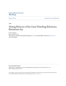 Mating Behavior of the Giant Waterbug Belostoma Flumineum As Y Janet E
