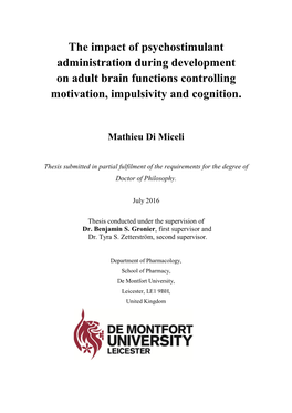 The Impact of Psychostimulant Administration During Development on Adult Brain Functions Controlling Motivation, Impulsivity and Cognition