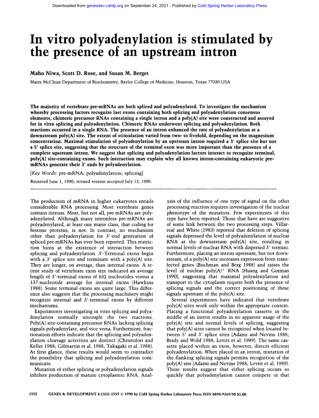 In Vitro Polyadenylation Is Stimulated by the Presence of an Upstream Intron