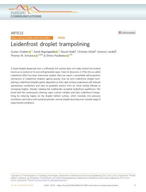 Leidenfrost Droplet Trampolining