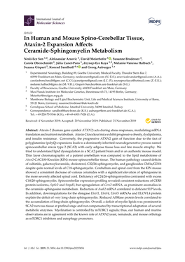 In Human and Mouse Spino-Cerebellar Tissue, Ataxin-2 Expansion Aﬀects Ceramide-Sphingomyelin Metabolism