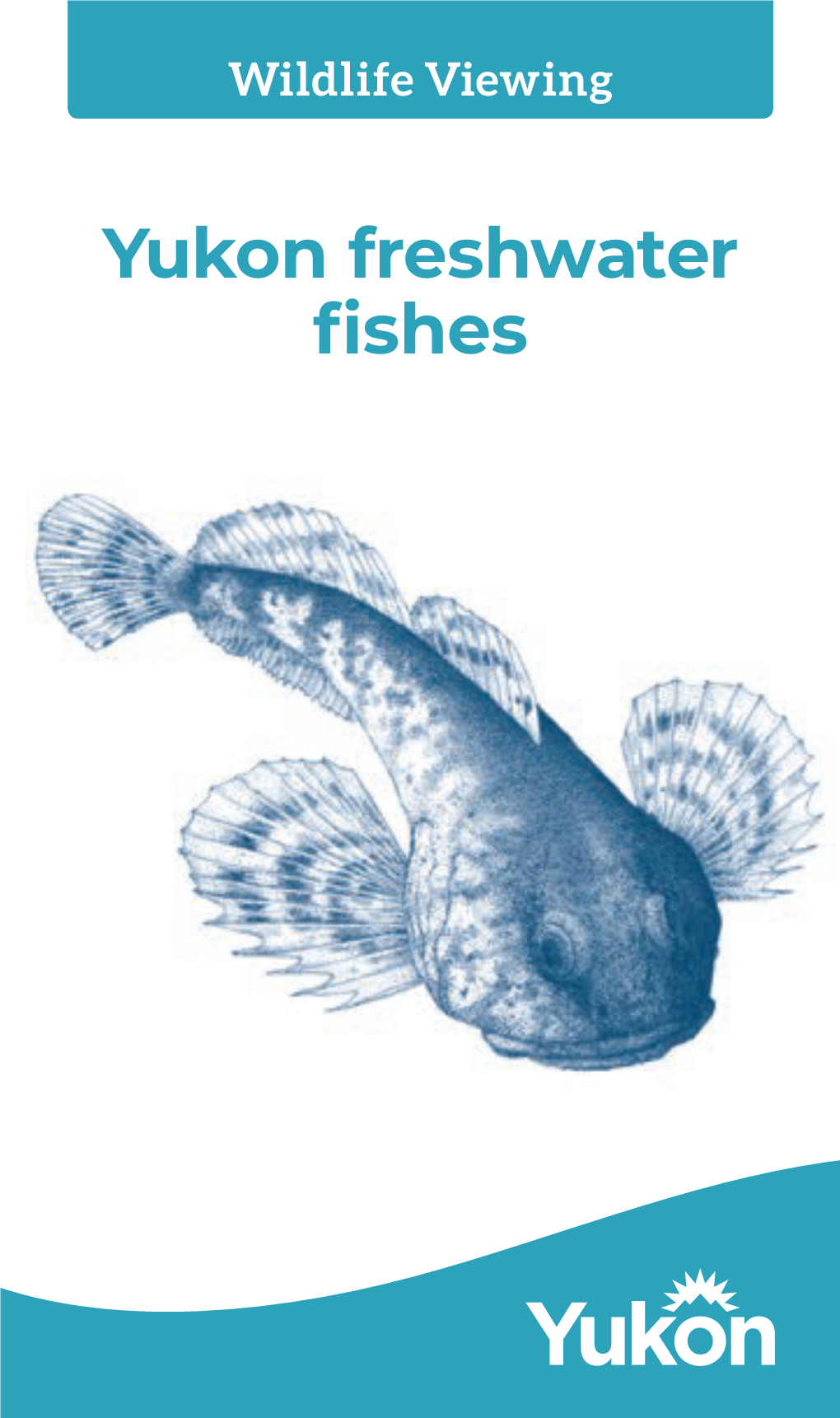Yukon Freshwater Fishes a Guide to Yukon Freshwater Fishes
