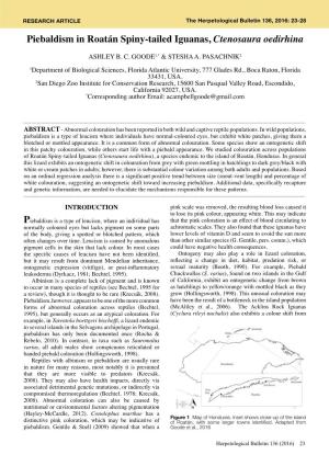 Piebaldism in Roatán Spiny-Tailed Iguanas, Ctenosaura Oedirhina