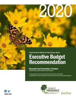 2020 Budget Recommendation