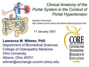 Clinical Anatomy of the Portal System in the Context of Portal Hypertension
