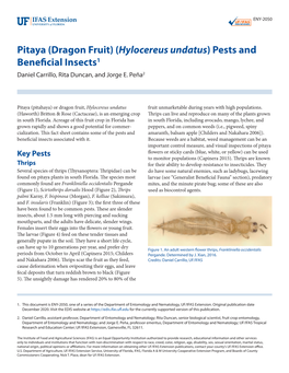 (Dragon Fruit) (Hylocereus Undatus) Pests and Beneficial Insects1 Daniel Carrillo, Rita Duncan, and Jorge E