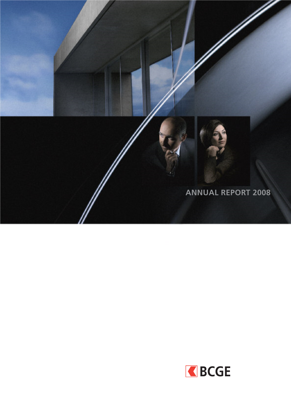 BCGE Annual Report 2008