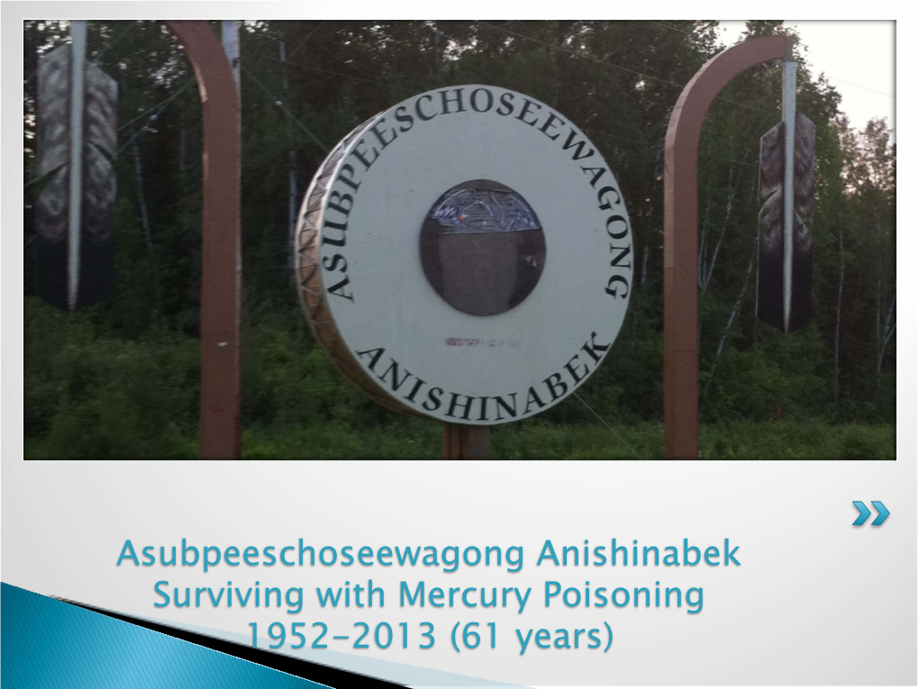 Asubpeeschoseewagong Anishinabek Surviving with Mercury