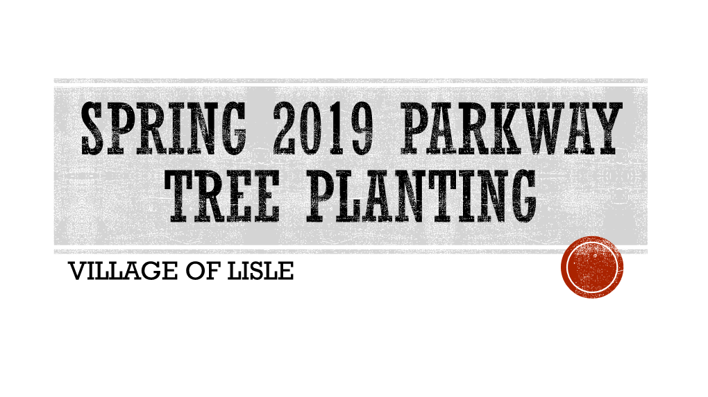 Spring 2018 Parkway Tree Planting