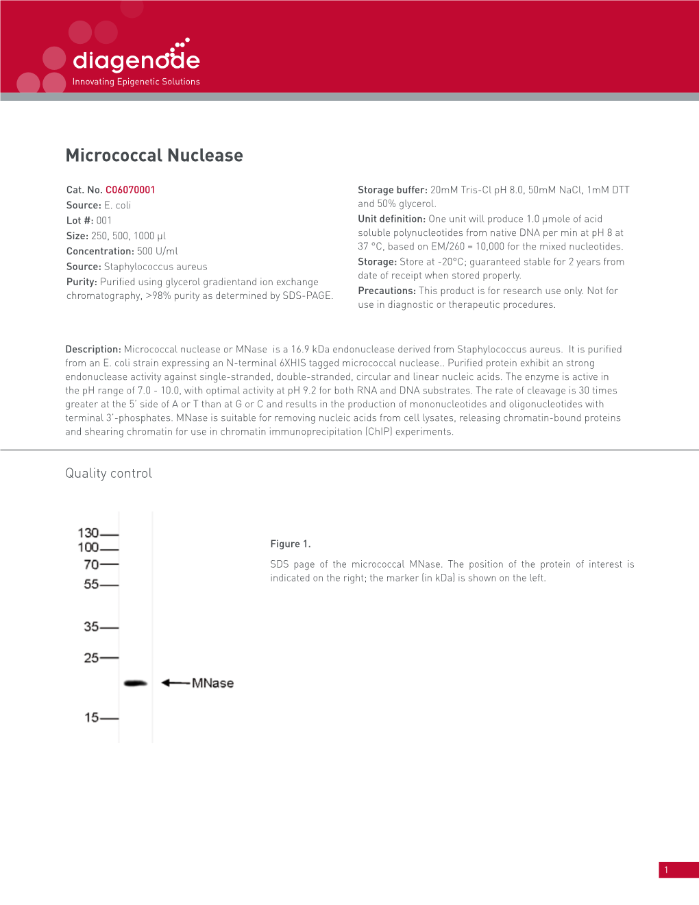 Micrococcal Nuclease